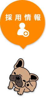 採用情報